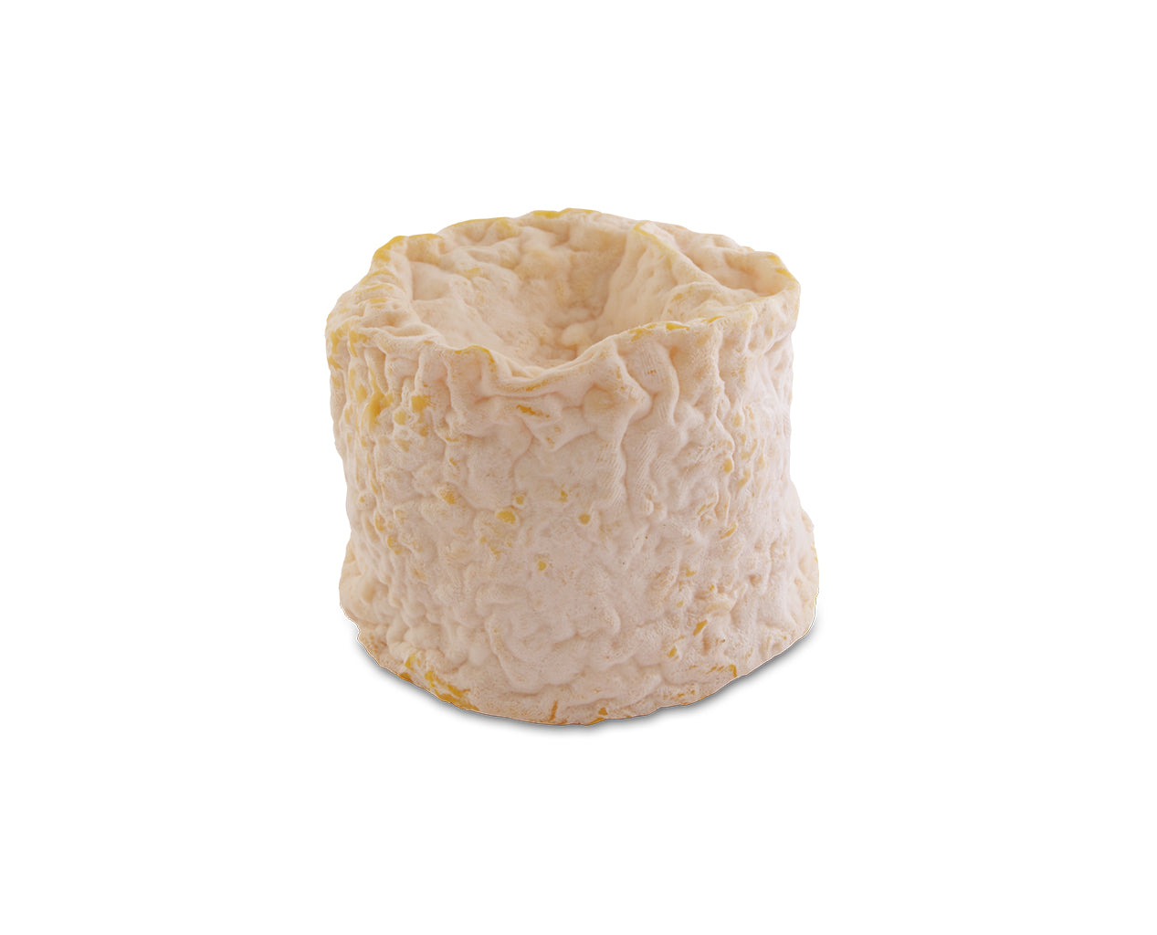 Petit Langres